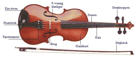 afbeelding viool met onderdelen